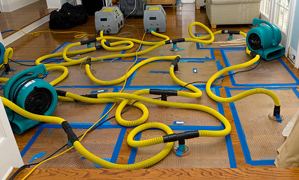 Professional Structural Drying And Dehumidification technician working in Mount Pleasant, MI